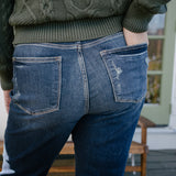 Lisse Mid Rise Ripped Straight Fit Jeans - PLUS