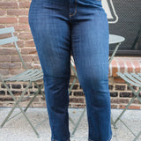 Paisley High Rise Straight Fit Classic Jeans - PLUS