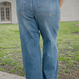 Eliza High Rise Wide Legs with Starry Flair - PLUS