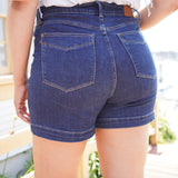 Blake High Rise Tummy Control Shorts - PLUS
