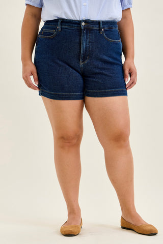 Erin Tummy Control Shorts - PLUS