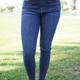 Sarah High Rise Skinny With Western Embroidery Detail