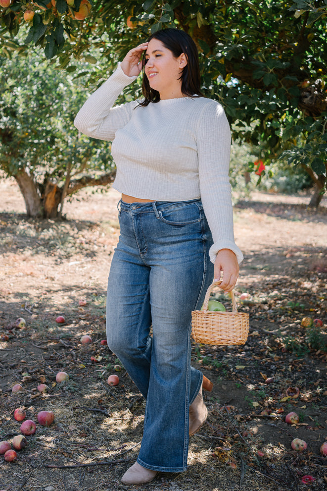Plus Sizes – Judy Blue