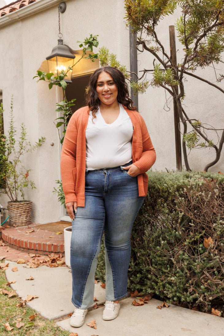 Georgia Panel Inseam Flare - PLUS